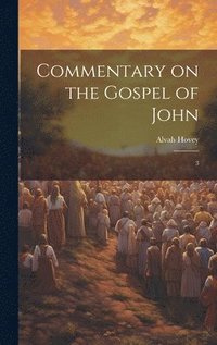 bokomslag Commentary on the Gospel of John