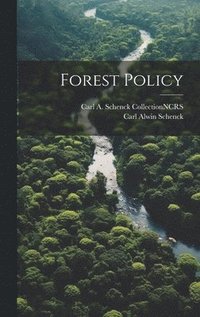bokomslag Forest Policy