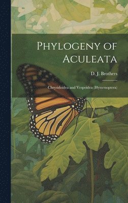 Phylogeny of Aculeata