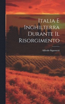 bokomslag Italia e Inghilterra durante il risorgimento