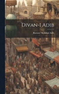 bokomslag Divan-i Adib