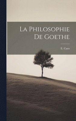 philosophie de Goethe 1