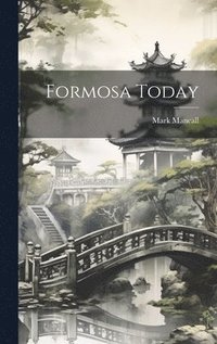 bokomslag Formosa Today