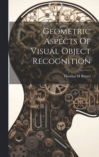 bokomslag Geometric Aspects Of Visual Object Recognition