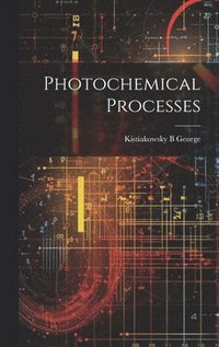bokomslag Photochemical Processes