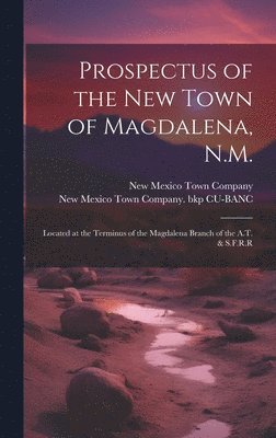 bokomslag Prospectus of the new Town of Magdalena, N.M.