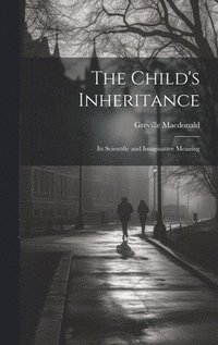 bokomslag Child's Inheritance