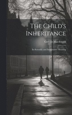 bokomslag Child's Inheritance