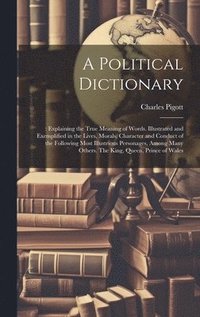 bokomslag A Political Dictionary