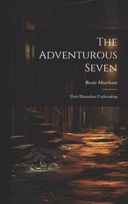 bokomslag Adventurous Seven