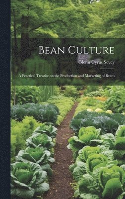 bokomslag Bean Culture