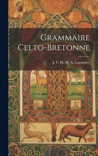 bokomslag Grammaire Celto-Bretonne