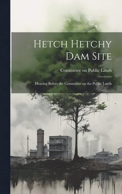 bokomslag Hetch Hetchy Dam Site