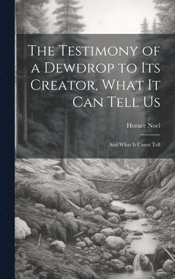 The Testimony of a Dewdrop to Its Creator, What it Can Tell Us; and What It Canot Tell 1