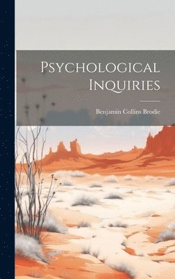 bokomslag Psychological Inquiries