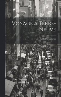 bokomslag Voyage a Terre-Neuve