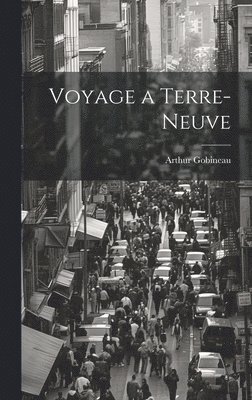 bokomslag Voyage a Terre-Neuve