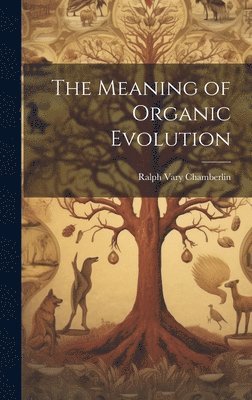 bokomslag The Meaning of Organic Evolution