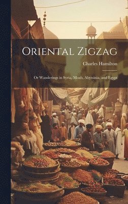 Charles Hamilton - Oriental Zigzag; Or Wanderings in Syria, Moab, Abyssinia, and Egypt, Inbunden