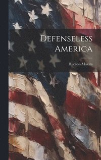 bokomslag Defenseless America