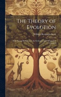 bokomslag The Theory of Evolution