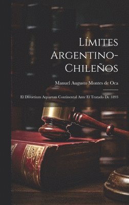 bokomslag Lmites Argentino-Chileos