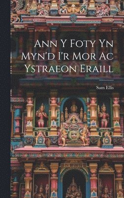 bokomslag Ann y Foty yn Myn'd i'r Mor Ac Ystraeon Eraill