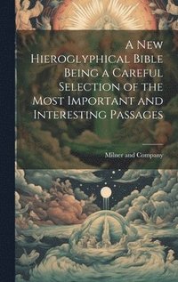 bokomslag A New Hieroglyphical Bible Being a Careful Selection of the Most Important and Interesting Passages