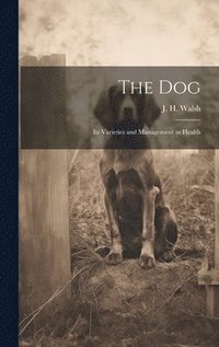bokomslag Dog