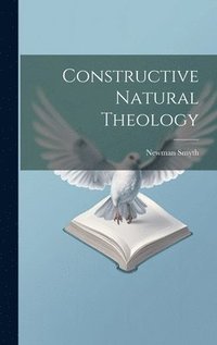 bokomslag Constructive Natural Theology