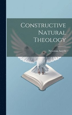 bokomslag Constructive Natural Theology