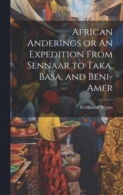 Ferdinand Werne - African Anderings or An Expedition From Sennaar to Taka, Basa, and Beni-Amer, Inbunden