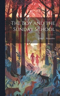 bokomslag Boy and the Sunday School