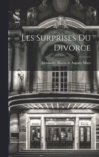 bokomslag Les Surprises Du Divorce