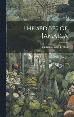 bokomslag Sedges of Jamaica