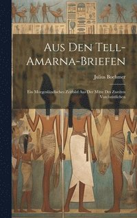 bokomslag Aus den Tell-Amarna-Briefen