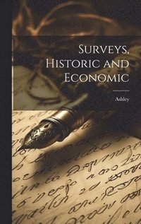 bokomslag Surveys, Historic and Economic