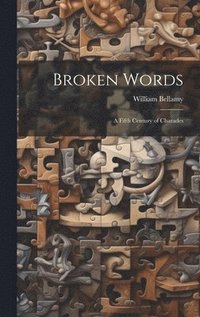 bokomslag Broken Words