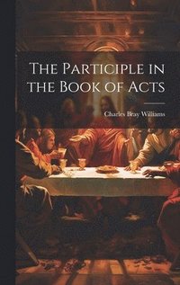 bokomslag Participle in the Book of Acts