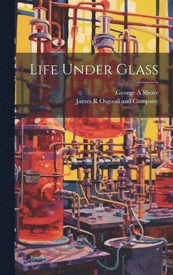 Life Under Glass 1