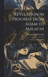bokomslag Revelation in Progress From Adam to Malachi
