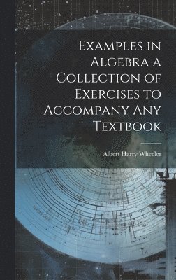 bokomslag Examples in Algebra a Collection of Exercises to Accompany any Textbook