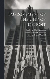 bokomslag Improvement of the City of Detroit