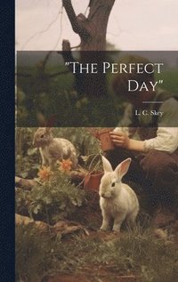 bokomslag &quot;The Perfect Day&quot;