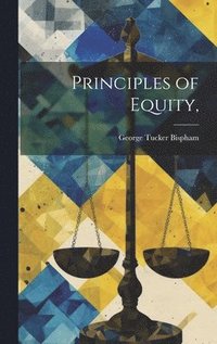 bokomslag Principles of Equity,