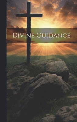 bokomslag Divine Guidance