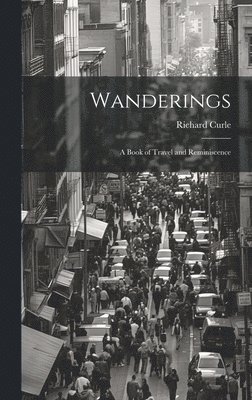 Wanderings 1