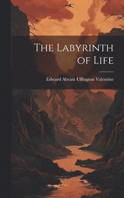 bokomslag Labyrinth of Life