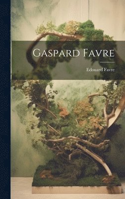 bokomslag Gaspard Favre