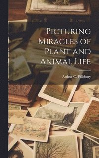 bokomslag Picturing Miracles of Plant and Animal Life